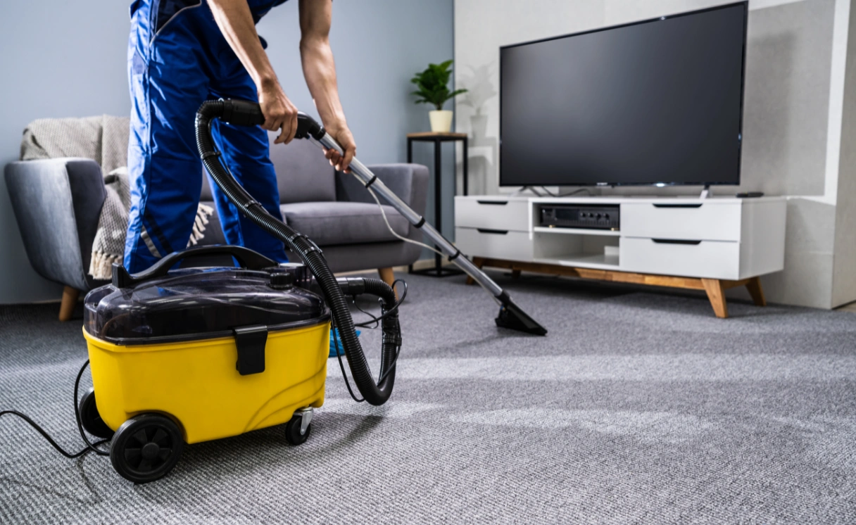 Extract Carpet Repair Mount Toolebewong Contact Office
